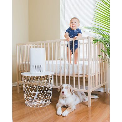 Crane Air Purifier with True HEPA Filter Quiet Compact and Powerful Air Cleaning for Home Bedroom