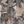 Khaki Leaf