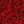 Chili Pepper Red