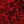 Chili Pepper Red