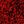 Chili Pepper Red