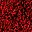 Chili Pepper Red