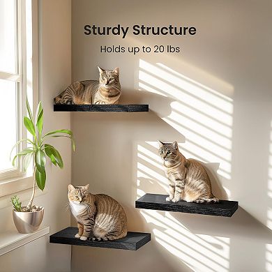 Set of 3 Floating Wall Shelf Sets with Invisible Brackets Multi-Room Set
