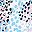 Pink Spotted