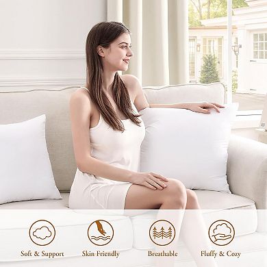 2-Pack Fluffy Soft Throw Pillow Inserts, Plump Square Decor Pillows for Sofa, Bed & Couch Home Decor