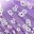 Small Purple Flower