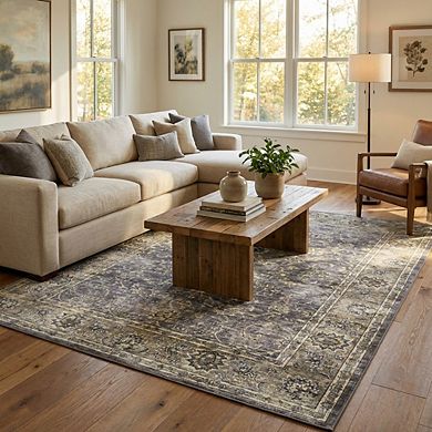 Distressed Area Rug Machine Washable Low Pile Pet Friendly Foldable Floor Cover for Living Room