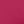 Canvas Hot Pink