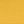 Canvas Sunflower