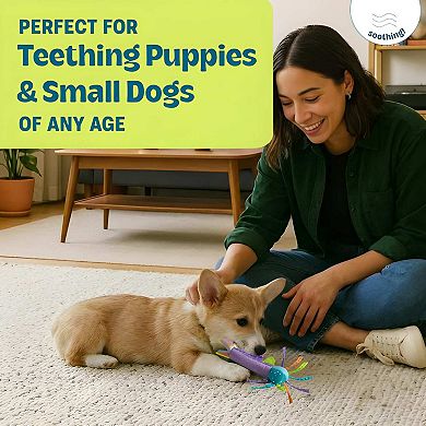 Puppy Teething Chew Stick