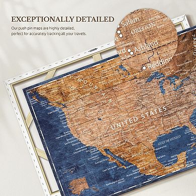 Brown And Blue Push Pin USA Map