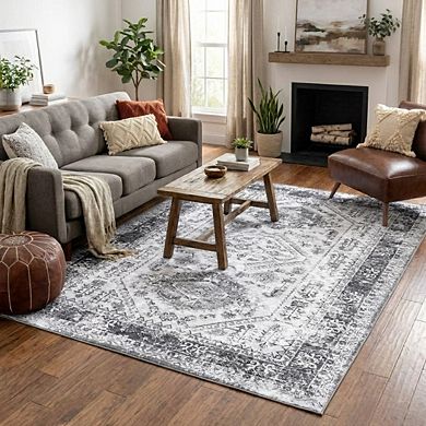 Medallion Area Rug Non Slip Foldable Low Pile Pet Friendly Floor Cover for Living Room Kitchen