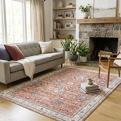 Vintage Area Rug Machine Washable Non Slip Non Shedding Stain Resistant Carpet for Bedroom Kitchen