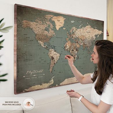 My World Push Pin Map VI