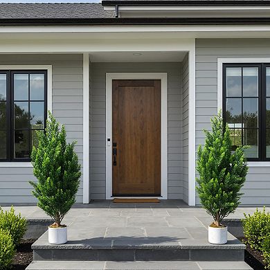 2-Pack 3FT Artificial Cedar Pine Topiary Trees in Pot, Green