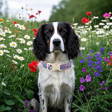 Spring Flower Dog Collar