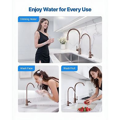 Kitchen and Bar Faucet with Filtration, High-Arc Spout, and Smooth Handle