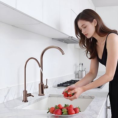 Kitchen and Bar Faucet with Filtration, High-Arc Spout, and Smooth Handle