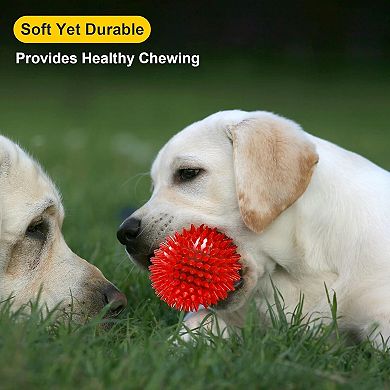 Durable Dog Toy Balls