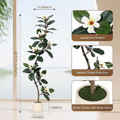Rubber Tree 6 ft Artificial Tree in White Planter Pot, Faux Plants Indoor Faux Floor Plant