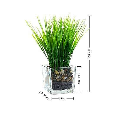 3-Pack 8.7IN Artificial Grass in Glass Planters, Green