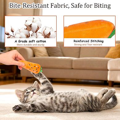Catnip Plush Toy Set for Cats