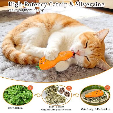 Catnip Plush Toy Set for Cats