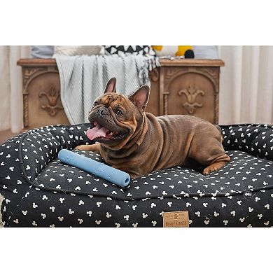 Rubber Dog Ball and Chew Stick