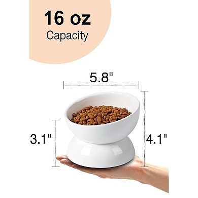 Anti Vomit Cat Feeding Bowl