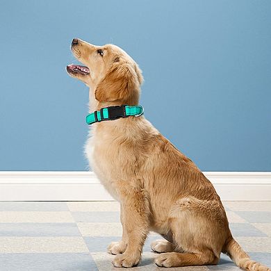 Durable Adjustable Dog Collar