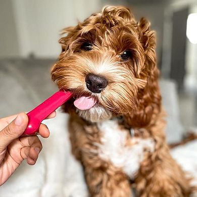 Long Lasting Dog Bone Pack