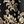 Black Regal Floral