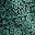 Black Rustic Floral