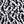 Black White Floral