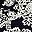Floral Medley Black
