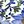 Floral White Blue