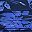Navy Graphic Floral