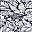 Shells Deep Sea Navy