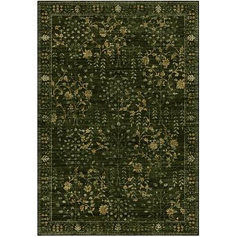 Area Rug for Living Room, Vintage Retro Boho Rug, Washable Non Slip & Low Pile Carpet