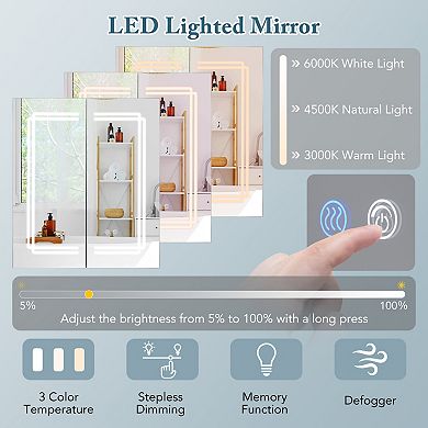 2-Door Bathroom Mirror Medicine Cabinet Wall Mounted with Lights