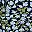 Navy Bloom Floral