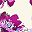 Egret Berry Floral