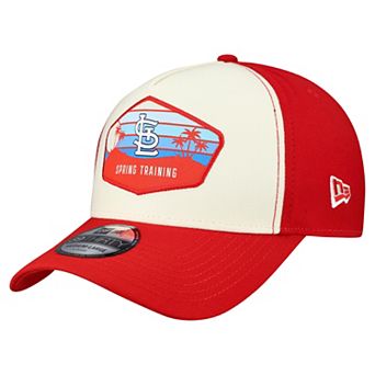 Men's New Era Stone St. Louis Cardinals 2026 Spring Training Fan Pack Gradient 39THIRTY Flex Hat