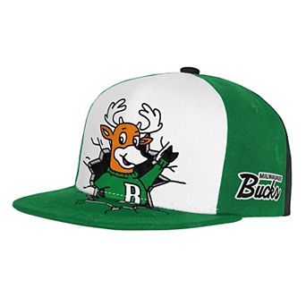 Youth Mitchell & Ness Green Milwaukee Bucks Mascot Snapback Hat
