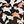 Black Camo