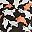 Black Camo