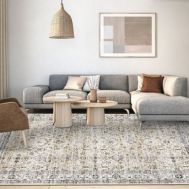 Vintage Area Rug Machine Washable Vacuum Clean Ultra Thin Stain Resistant Carpet for Kid's Room