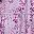 Purple Pink