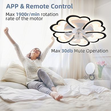 ELEMENT ACE Ceiling Fan with Integrated Light Remote Control Adjustable Speed