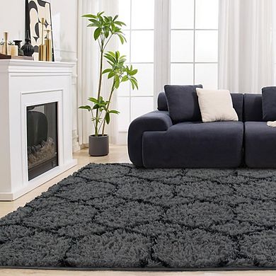 4x6 Grey Black Shag Rug, Soft Fluffy Non-Slip Area Rug, Machine Washable